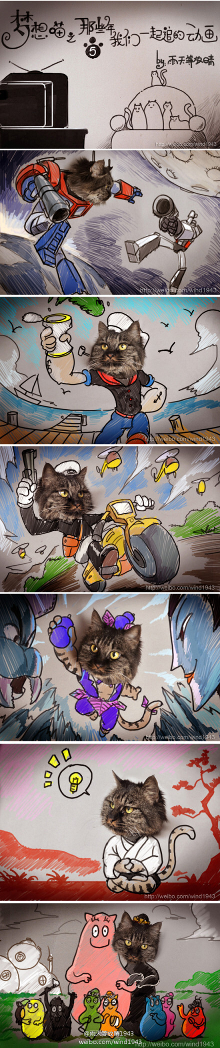 &lt;那些年我们一起追的动画&gt; 原创《梦想喵》第五季， 和梦想喵一起追忆那些守在电视前的时光吧~。雨天等放晴1943的萌物黑猫。————好可爱^_^YIN。