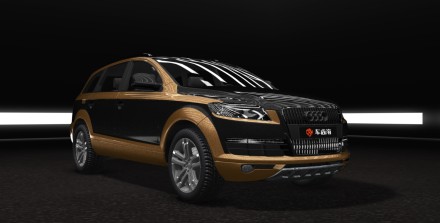 车尚海 AudiQ7 细闪金+黑