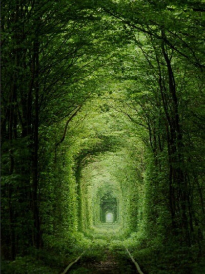 “爱的隧道”位于乌克兰东部一个名叫克莱旺的小镇附近，是一段长约3公里的铁路。但它与众不同的地方在于，其四周是由树木及绿色藤蔓围绕而成，绿色植物构建成了拱形结构，将整条铁路包裹起来，变成了一条绿色的通道…