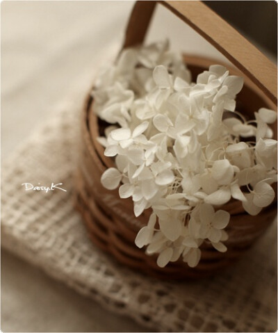 花儿们、小物、Comely、pink、粉色系、可爱、粉粉的、Instrumental、碎花、花花、花、草、花 Flower 美好