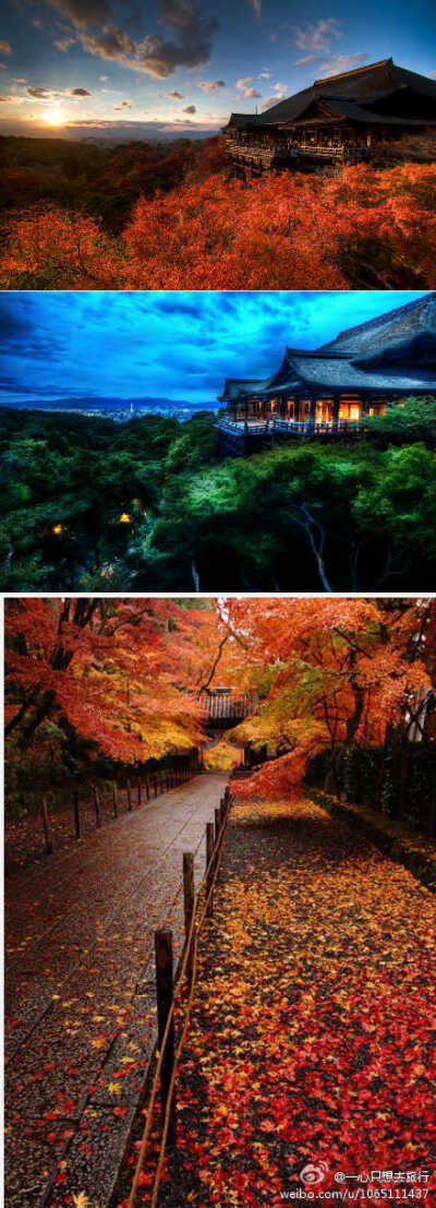【日本京都清水寺】 日本京都清水寺，一座拥有1200年历史的古城。京都清水寺。这个城市是著名的日本传统建筑，慢节奏的生活，自然风光，优美的艺妓，和禅宗安宁，让你无不向往。