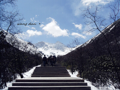 岁月静好。现世安稳---黄龙雪山，四千多米，我们就这样爬上去的