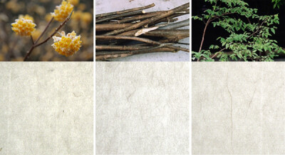 3造和纸常用的原料，从左到右为：结香、桑树和雁皮