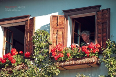 如旧画般的老奶奶与花。