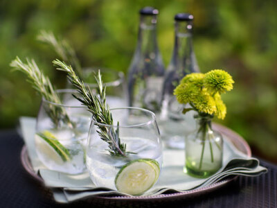 Gin & Tonic 【材 料】：辛辣金酒45毫升，汤力水补足剩余，柠檬片1片 【制 法】：(1)将辛辣金酒倒入8盎司容量的坦布勒杯中；(2)加入冰块，用汤力水注满，最后用柠檬片装饰。此酒为开胃酒主要是为喜欢辛辣口味的人设…