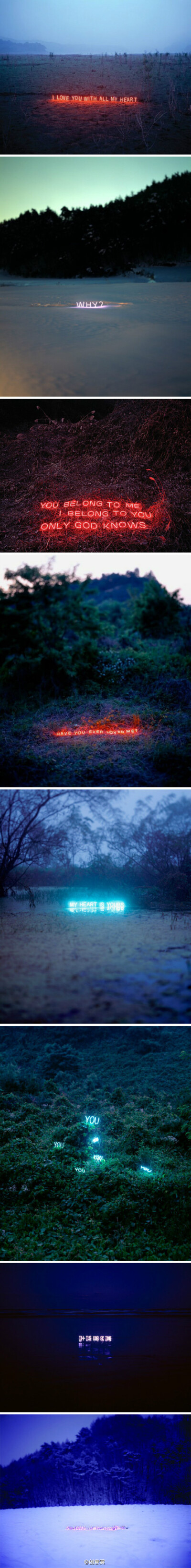 ［视觉装置］韩国摄影师 Lee Jung 用霓虹灯和自然对话，空灵却又温暖。