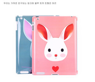 手绘风可爱兔子 苹果ipad2/3 背壳
