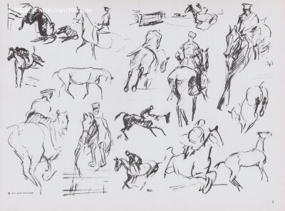 bernard-garbutt-animal-sketches