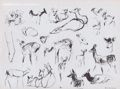 bernard-garbutt-animal-sketches