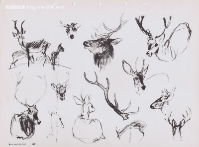 bernard-garbutt-animal-sketches5