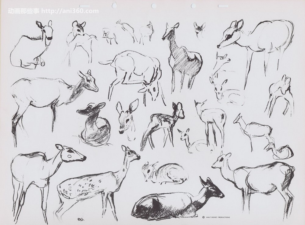 bernard-garbutt-animal-sketches6