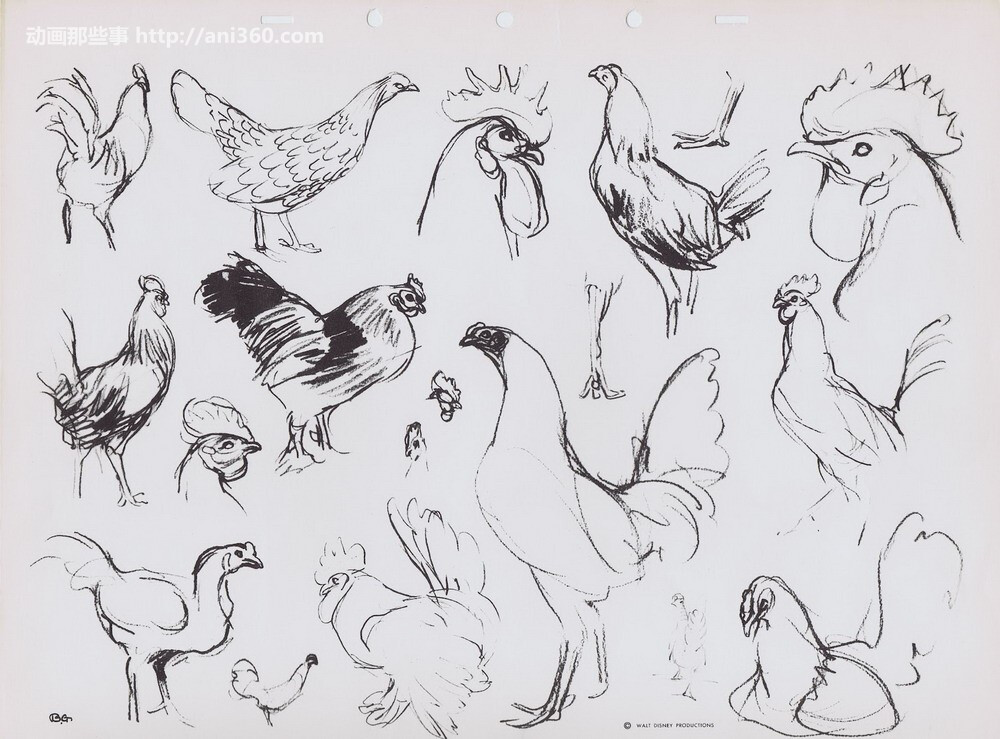 bernard-garbutt-animal-sketches7