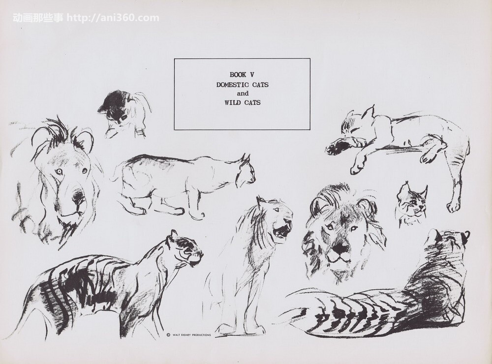 bernard-garbutt-animal-sketches9