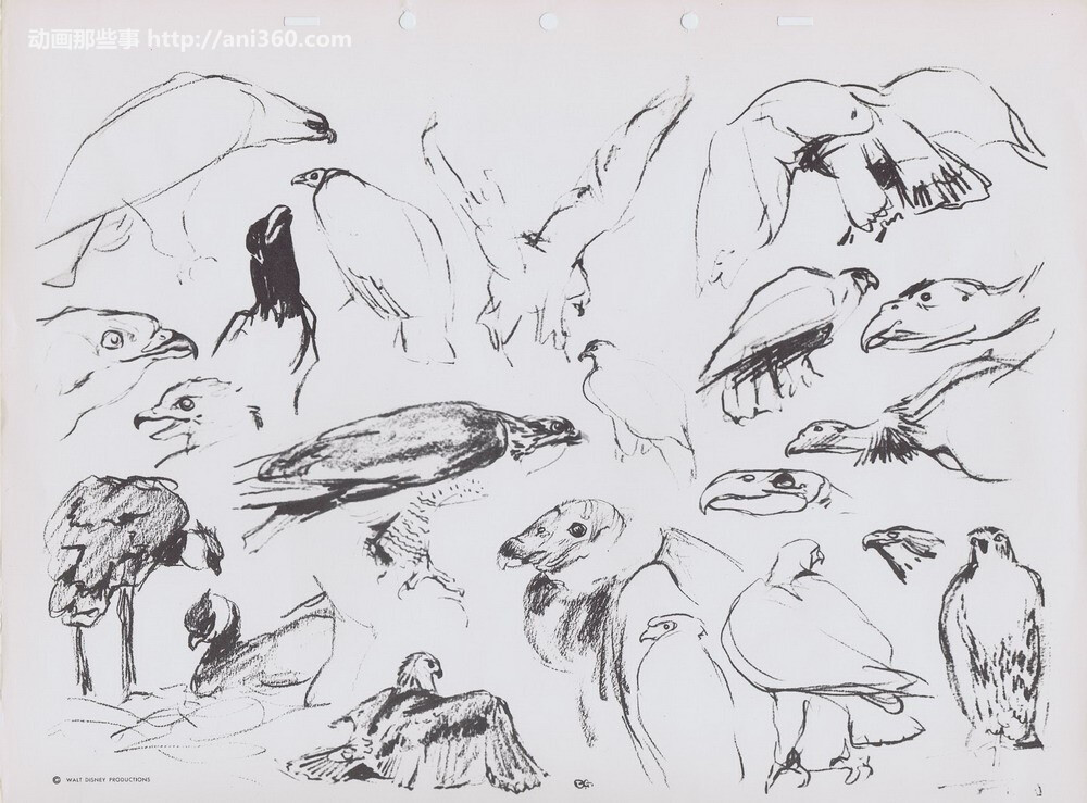 bernard-garbutt-animal-sketches10