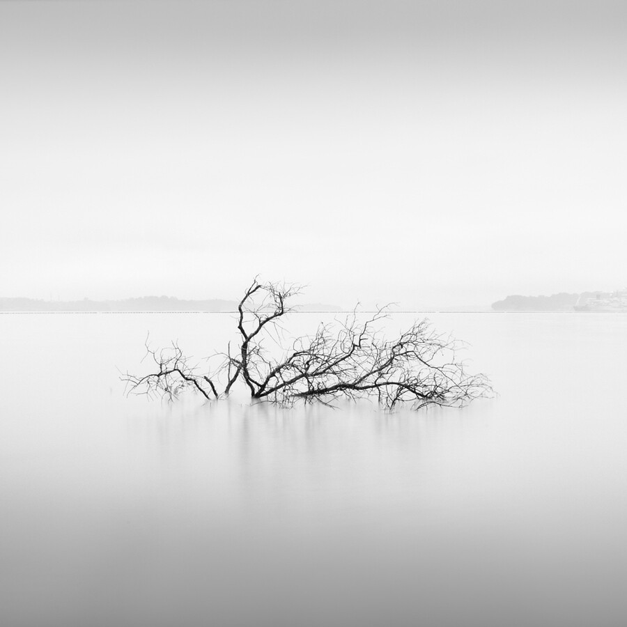 Photograph * fallen crown * by Thomas Leong on 500px