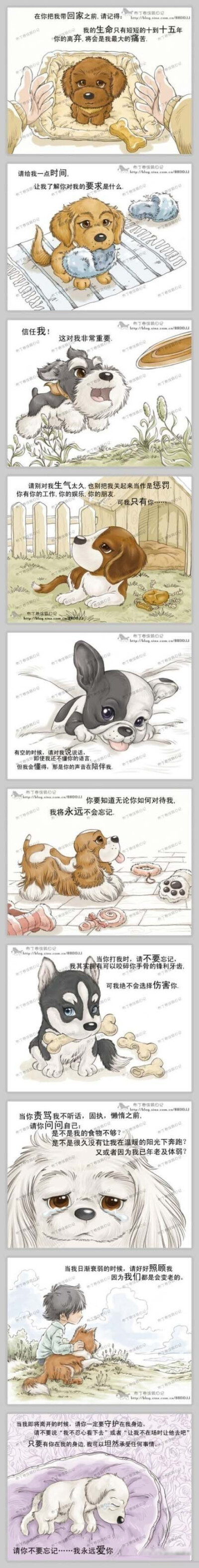 《我与狗狗的十个约定》曾轰动日本的电影原著小说，已成为时尚爱犬人的流行宣言～