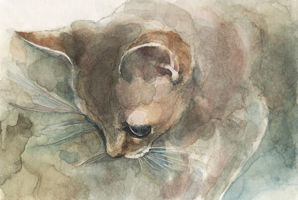 山田 緑 (midori yamada)