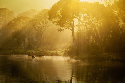 Photograph golden light by Yaman Ibrahim on 500px