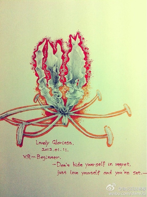 嘉兰 花语：荣光。