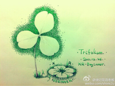 三叶草 花语：幸福。
