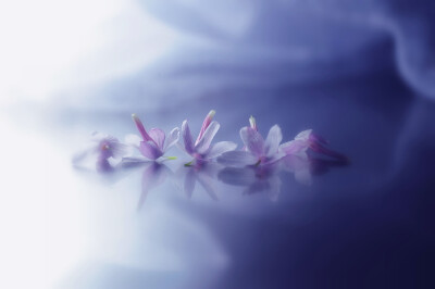 Photograph Duineser Elegien by Lafugue Logos on 500px
