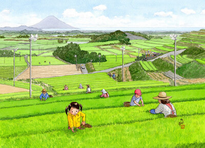 【竹中俊裕】（日）