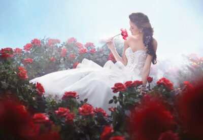 Disney Fairy Tale Weddings Collection