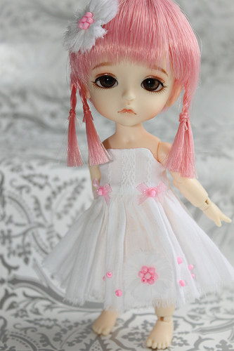 我素小萌主。@晓冬知春