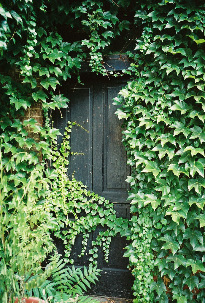 By chicalookate-IVY Door