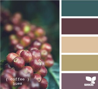 coffee hues 咖啡豆