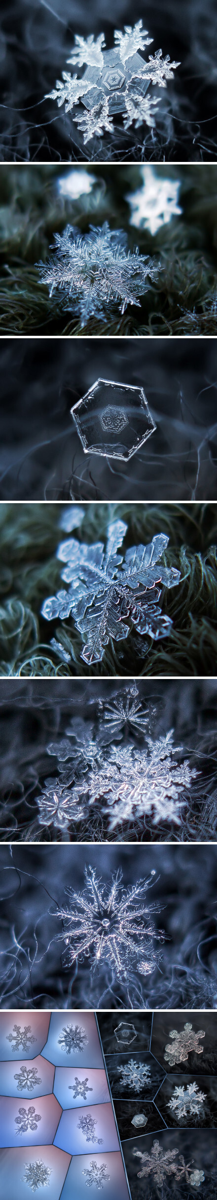 近观雪花之美，每一片雪花，都是独一无二的自然杰作。来自俄罗斯摄影师 Alexey Kljatov 的显微摄影作品，作品站点&gt;http://t.cn/zOeiJFw