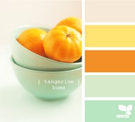 tangerine hues 橘子树色