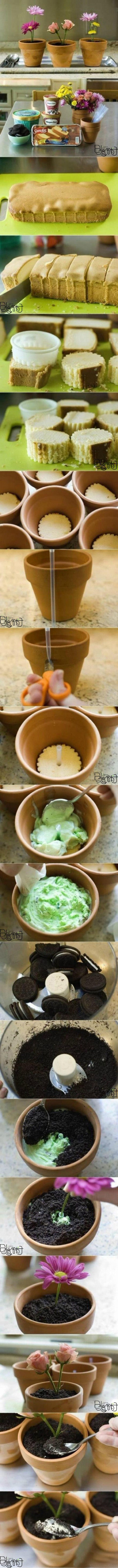 盆栽蛋糕DIY