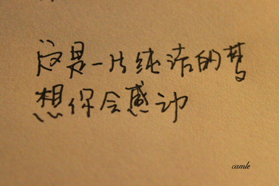 只是喜欢字