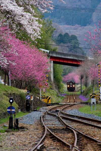 渡良濑川溪谷铁道，足尾线