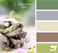 asparagus hues 芦笋