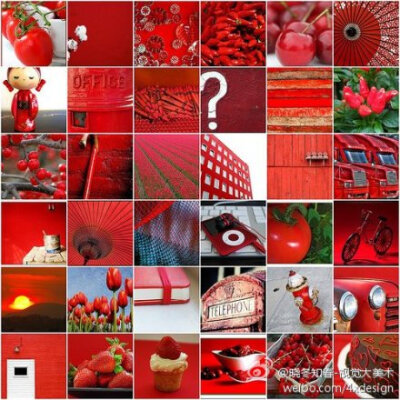 “红”就是这么强烈的表达@晓冬知春