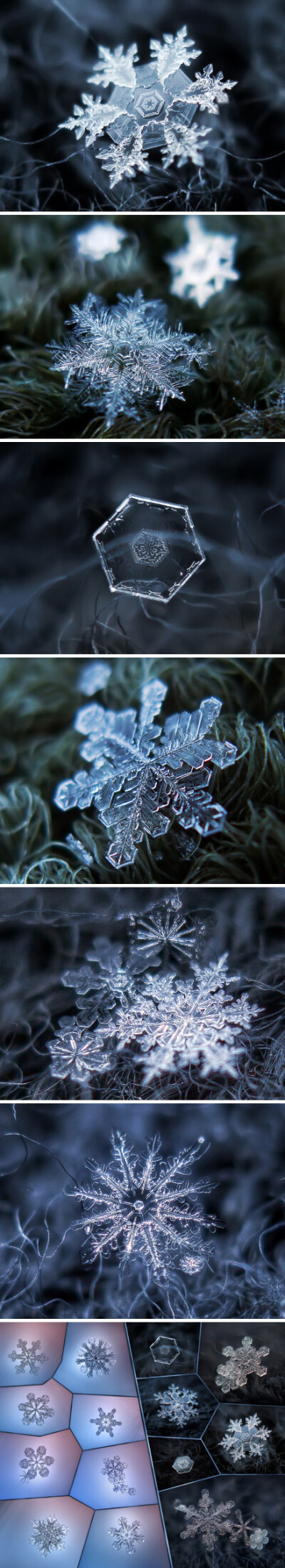 近观雪花之美，每一片雪花，都是独一无二的自然杰作。来自俄罗斯摄影师 Alexey Kljatov 的显微摄影作品