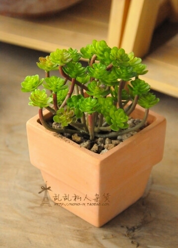 zakka森林系 多肉植物 莲花仿真植物 仿真花 假花 装饰 拍照道具