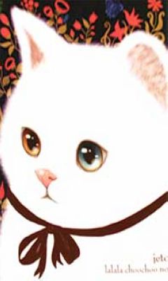 Jetoy~❤