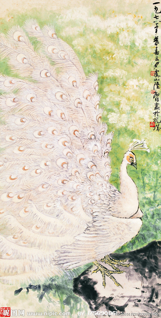 陆抑非白孔雀图