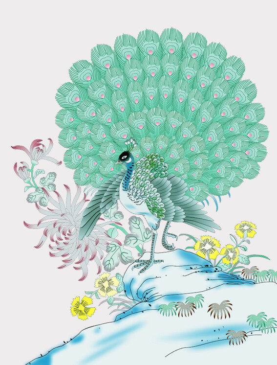 孔雀花开