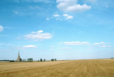 你的掌心，是不是藏着一个太阳