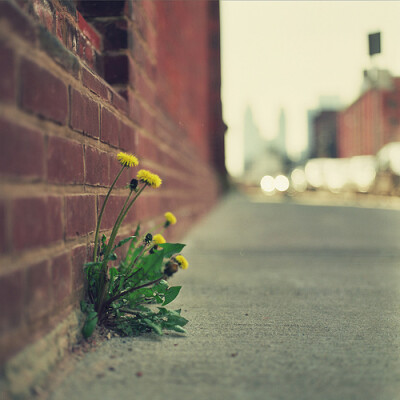 你的掌心，是不是藏着一个太阳