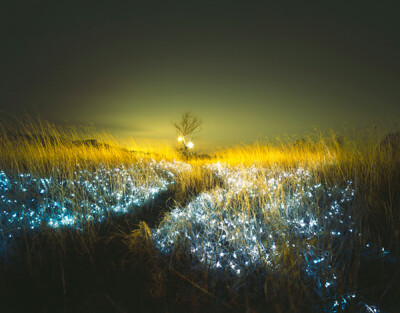  摄影师Lee Eunyeol本周在首尔Gana画廊展出他的系列作品，将满天繁星的夜空景象倒置在高耸的草丛或者是深土裂缝中，借助他构造的复杂灯光装置。 他将熟悉的夜空景象与重新打造的新的光影空间结合在一起，从而…