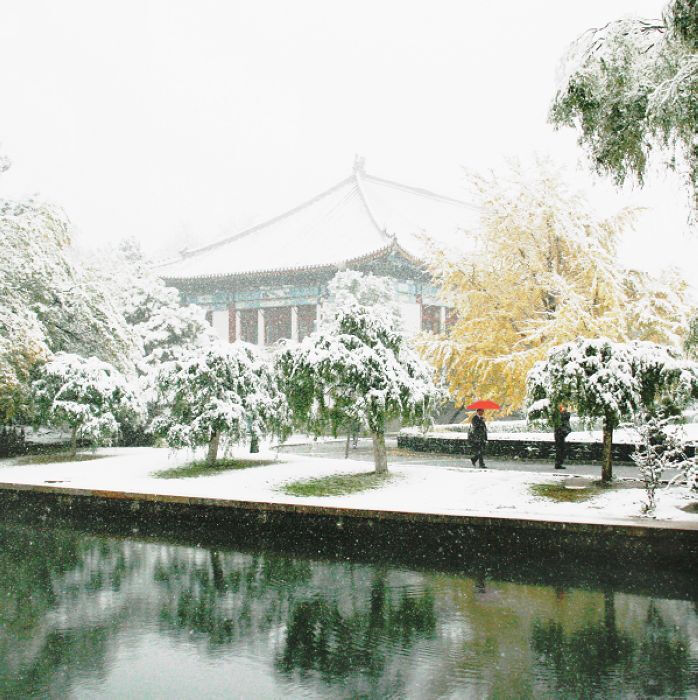 北京大学：北大之美，在夫燕园一景；燕园之美，存诸未名一湖；畅春园等，则多不复存焉；理科楼群，更是风光难再。