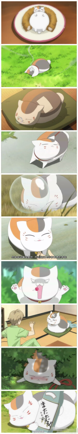 娘口先生~