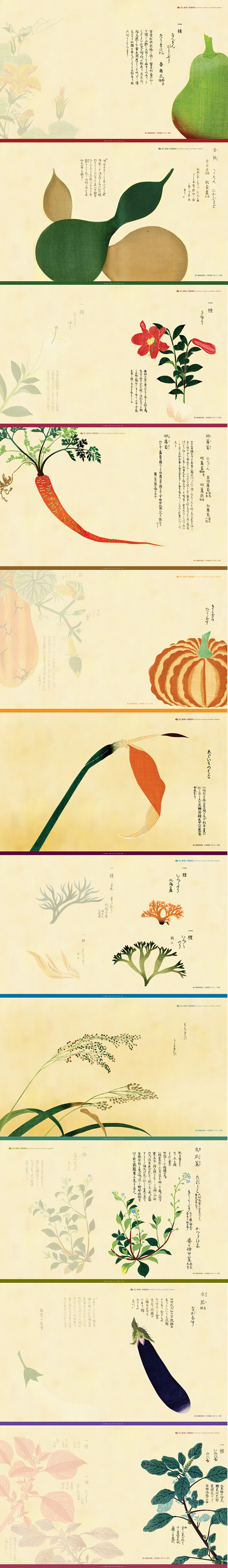 国立台湾大学图书馆发布的2012年桌布，2012年选取的是日本画家岩崎常正画的《本草图谱》