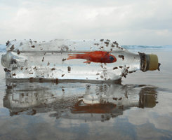 Storm_in_a_Bottle_by_ahermin