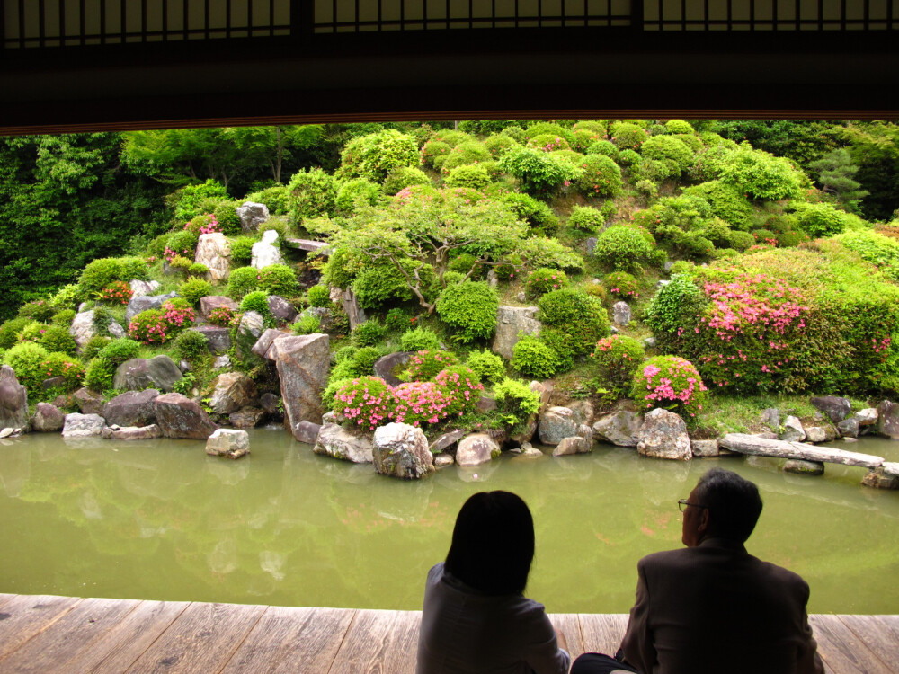 屋檐下的夫妇